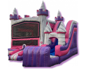 Queen Castle with Dry Slide